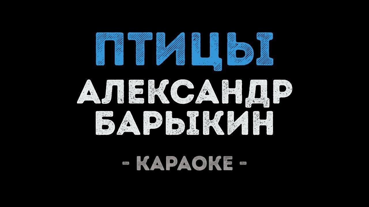 Александр Барыкин - Птицы (Караоке)