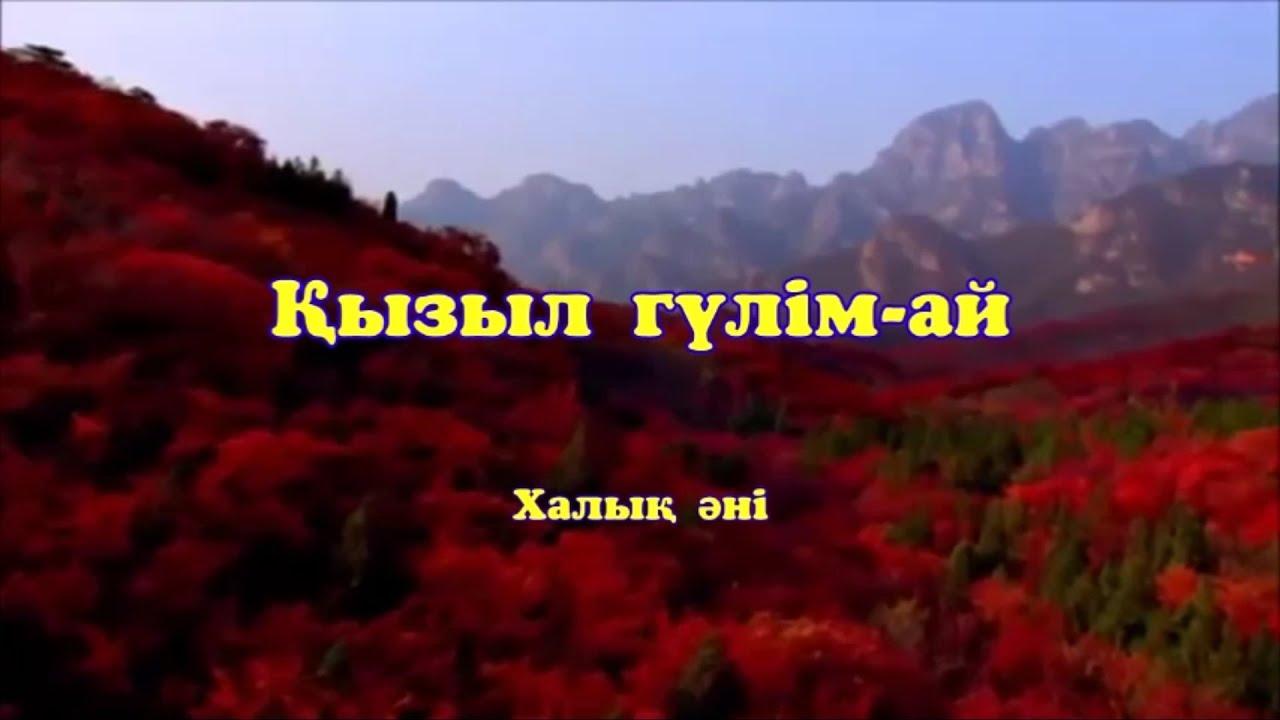 Қайрат Нұртас - Қызыл гүлім-ай (Караоке)