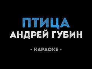 Андрей Губин - Птица (Караоке)