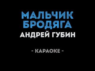 Андрей Губин - Мальчик бродяга (Караоке)