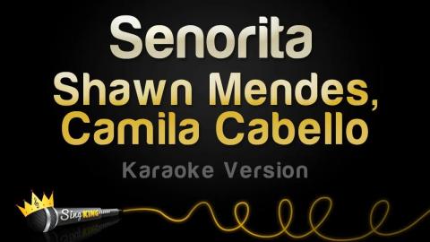 Shawn Mendes, Camila Cabello - Señorita (Караоке)